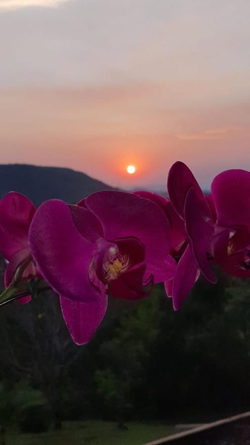 Pousada Flor De Lotus Dos Canyons Praia Grande  Dış mekan fotoğraf